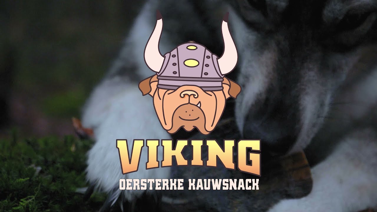 Viking Horn Twist S — afbeelding 2