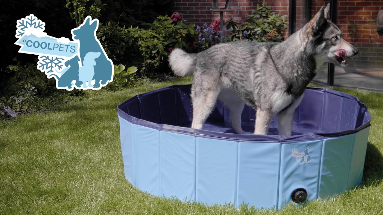 CoolPets Splash Dog Pool ø 80 x 20 cm — afbeelding 2