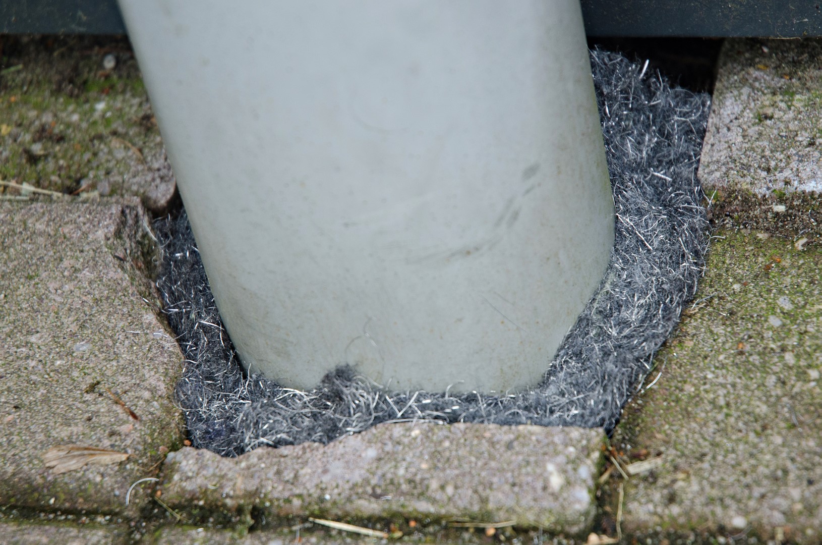 Knock Pest Weringsband Rat/Muis 5 m — afbeelding 3
