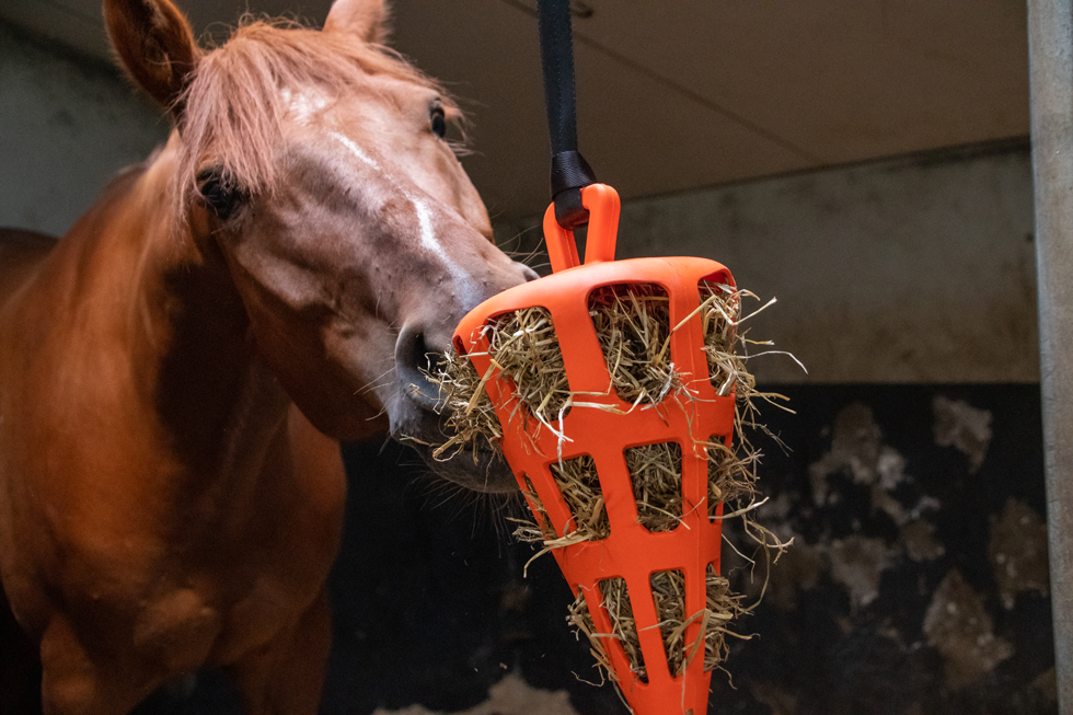 Hay Slow Feeder Fun & Flex Carrot Oranje — afbeelding 3