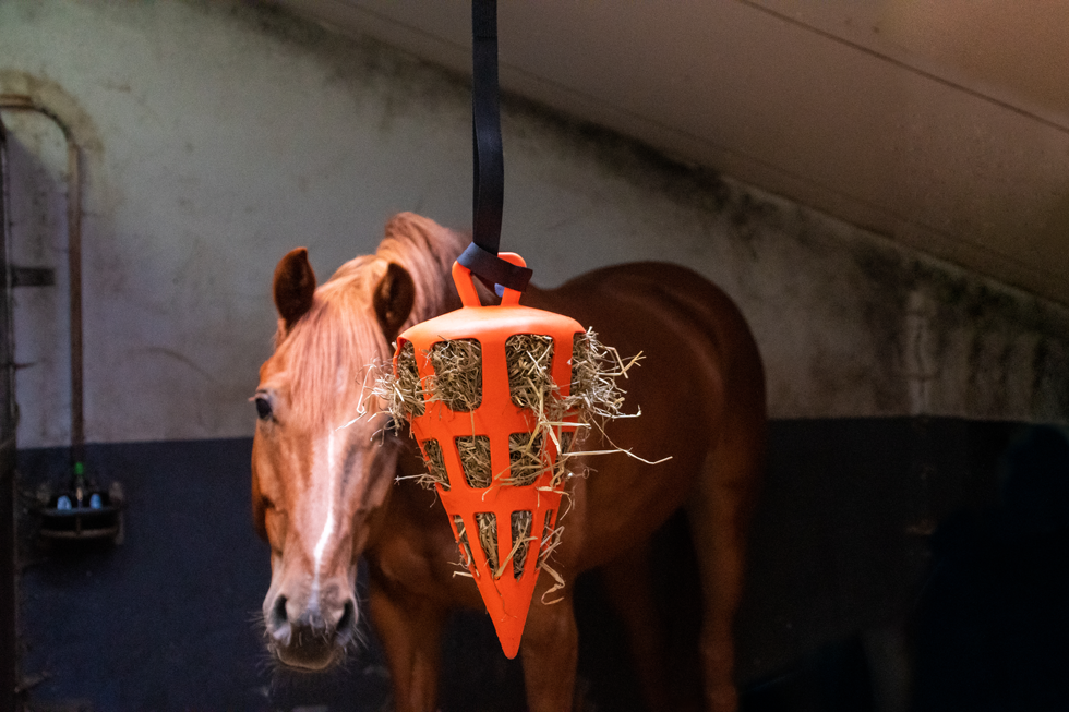 Hay Slow Feeder Fun & Flex Carrot Oranje — afbeelding 4