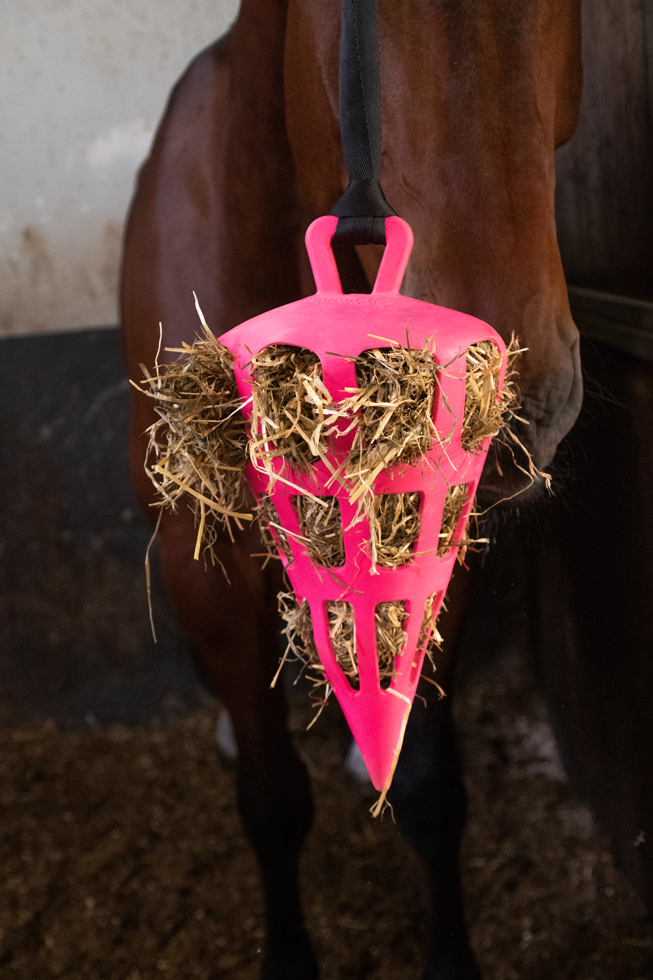 Hay Slow Feeder Fun & Flex Carrot Roze — afbeelding 4