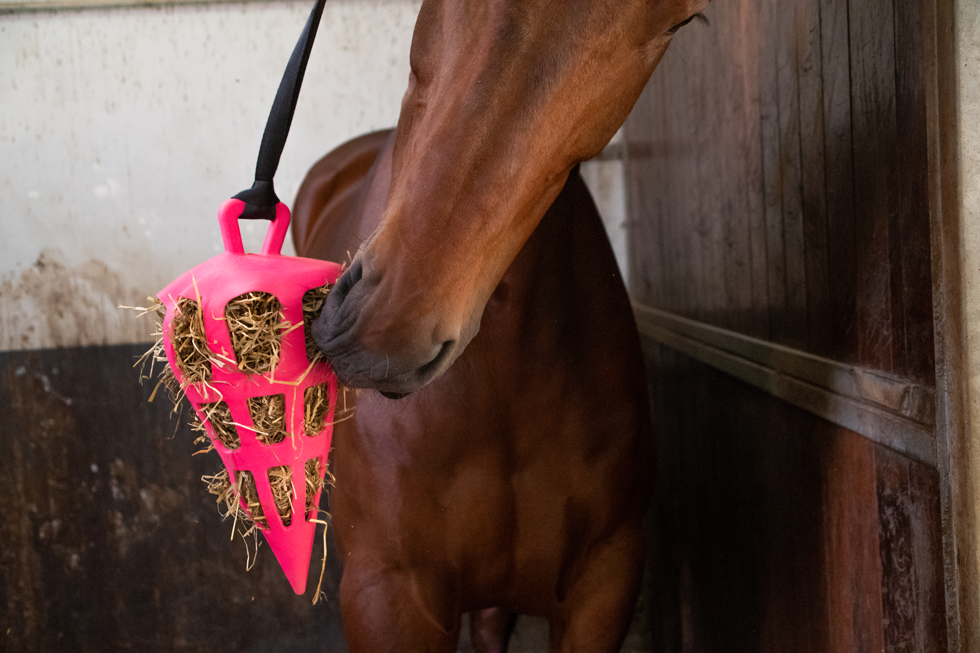 Hay Slow Feeder Fun & Flex Carrot Roze — afbeelding 3