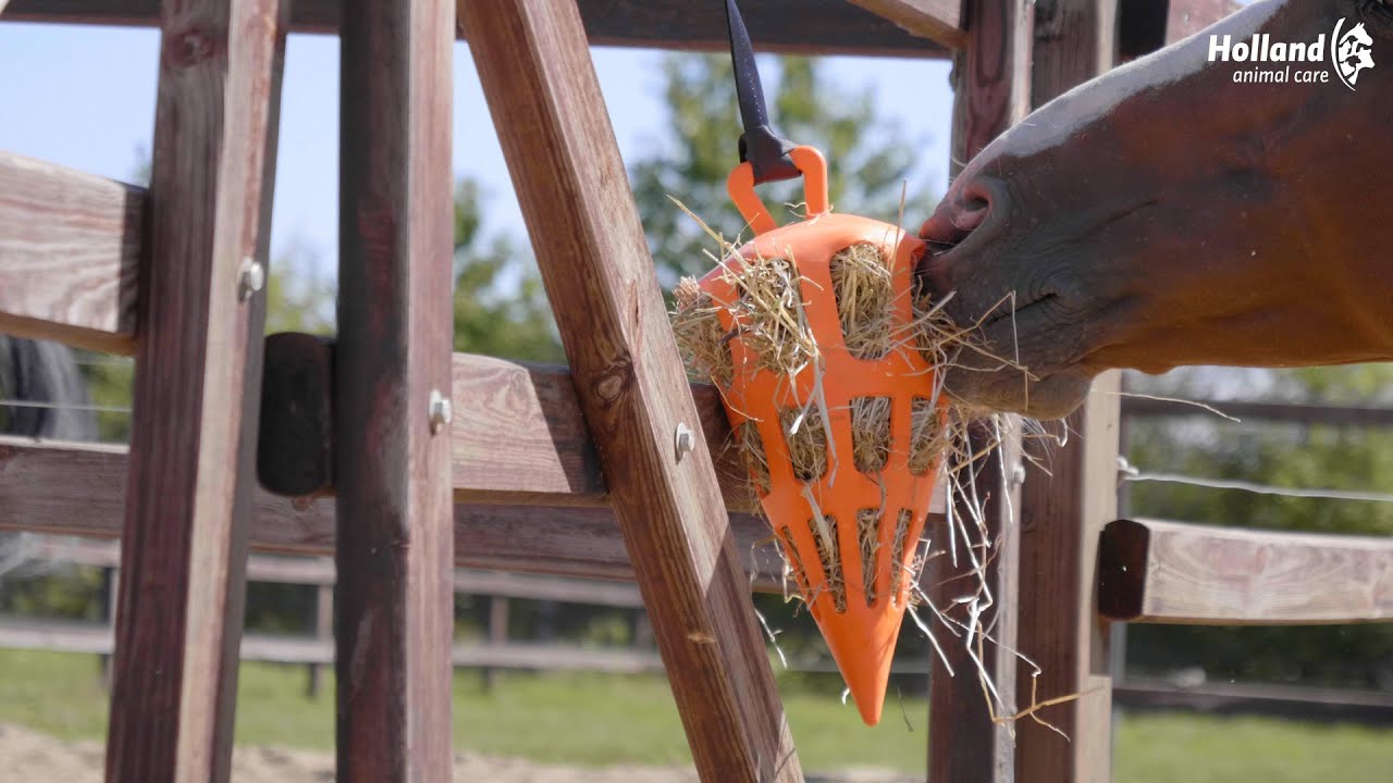 Hay Slow Feeder Fun & Flex Carrot Roze — afbeelding 2