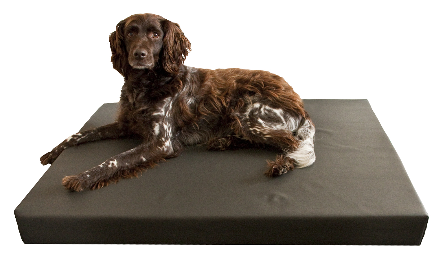 HD Dog Bed L — afbeelding 2