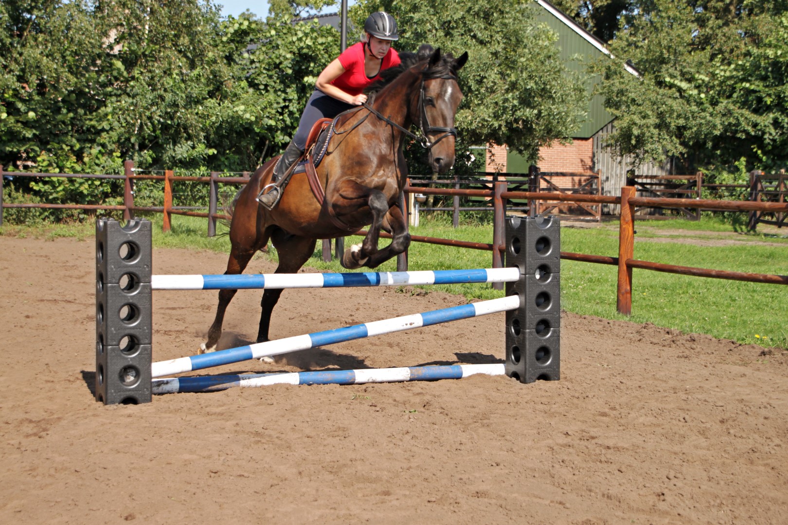 Excellent Horse Cube — afbeelding 3
