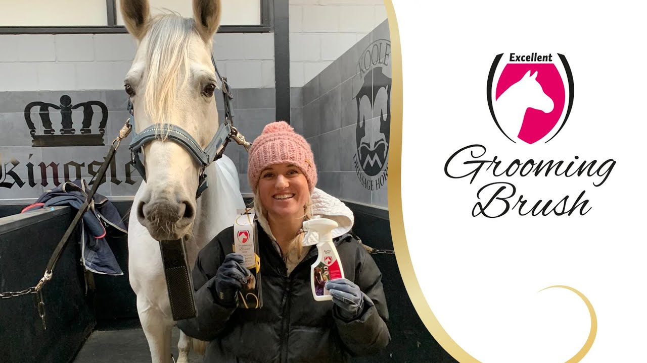 Excellent Horse Grooming Brush L Zwart — afbeelding 4