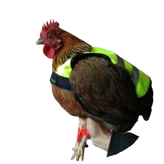 Gaun Pluimvee Kippen Vest — afbeelding 2
