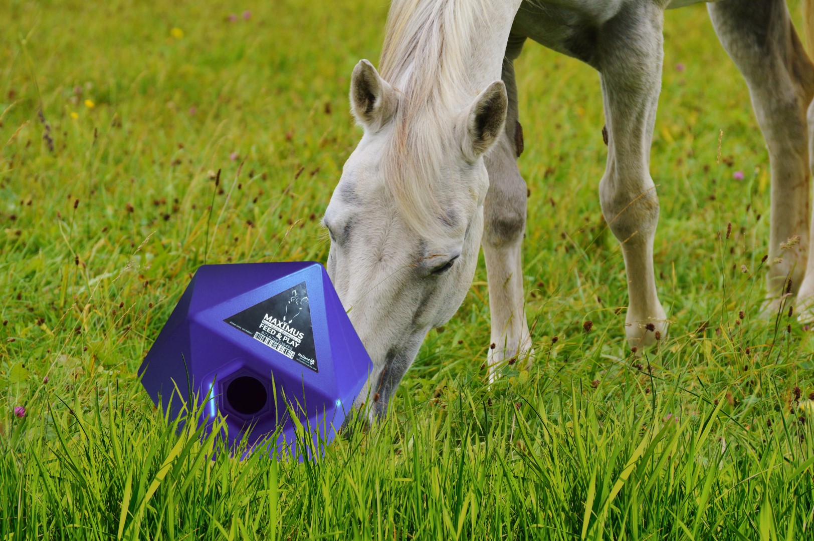 Maximus Feed & Play Blauw — afbeelding 3