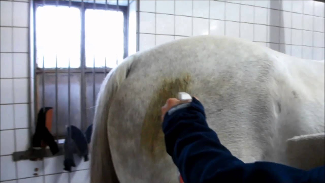 Excellent Horse Hi Gloss Clean Spray 500 ml — afbeelding 6