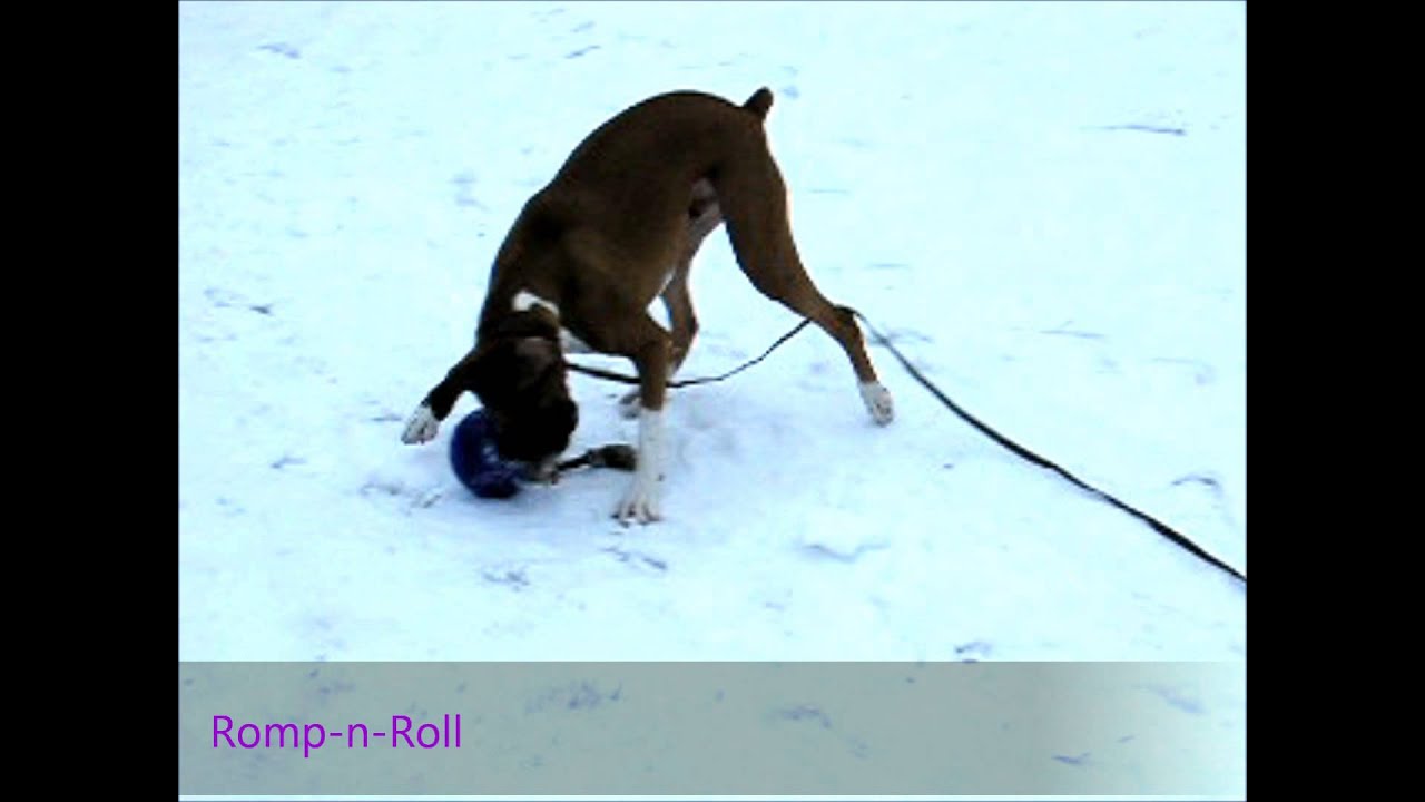 Jolly Romp-n-Roll Paars M (15 cm) — afbeelding 2