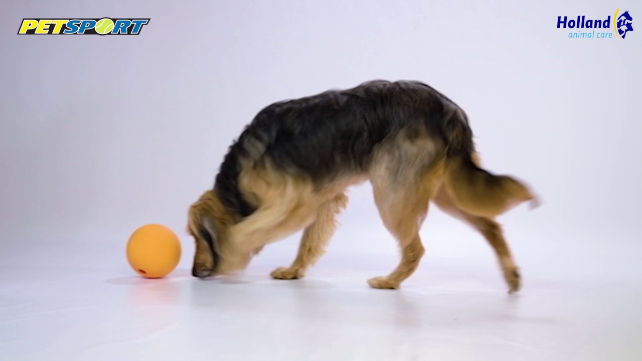 Petsport Kingpin Kibbler Zwart — afbeelding 2