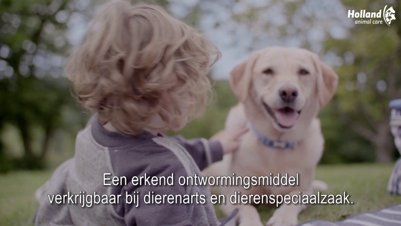 Milbemax Kauwtabletten Hond Klein Chewy <5kg 4 tabl. — afbeelding 2
