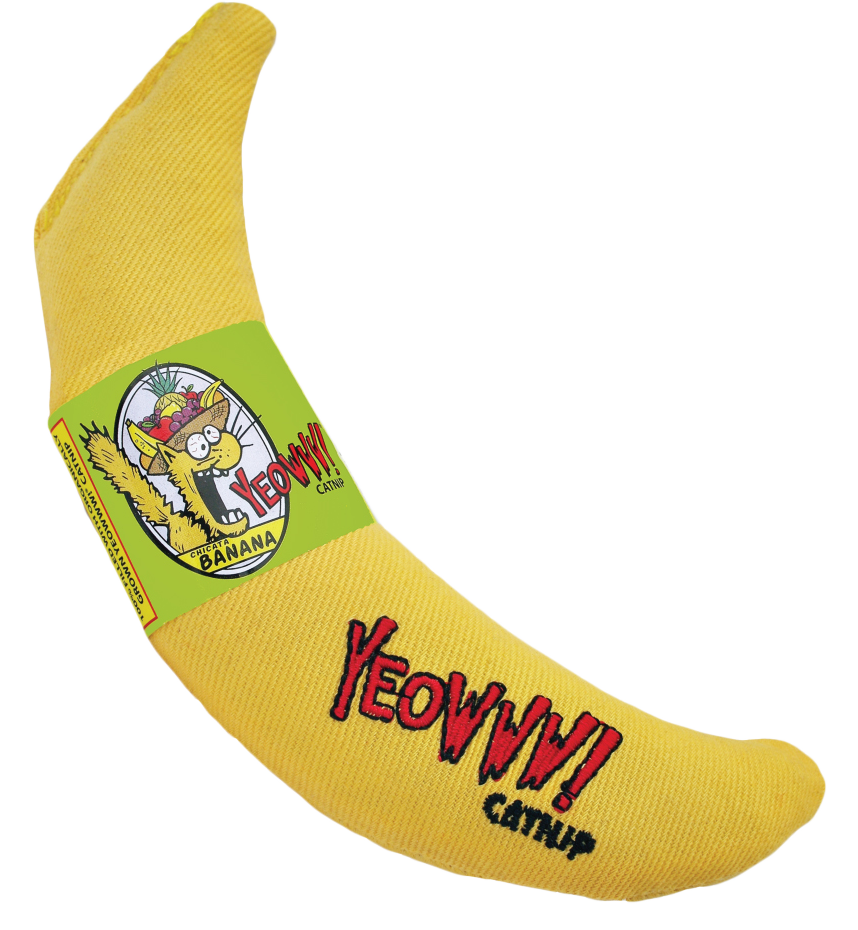 Yeowww! Chicata Banana