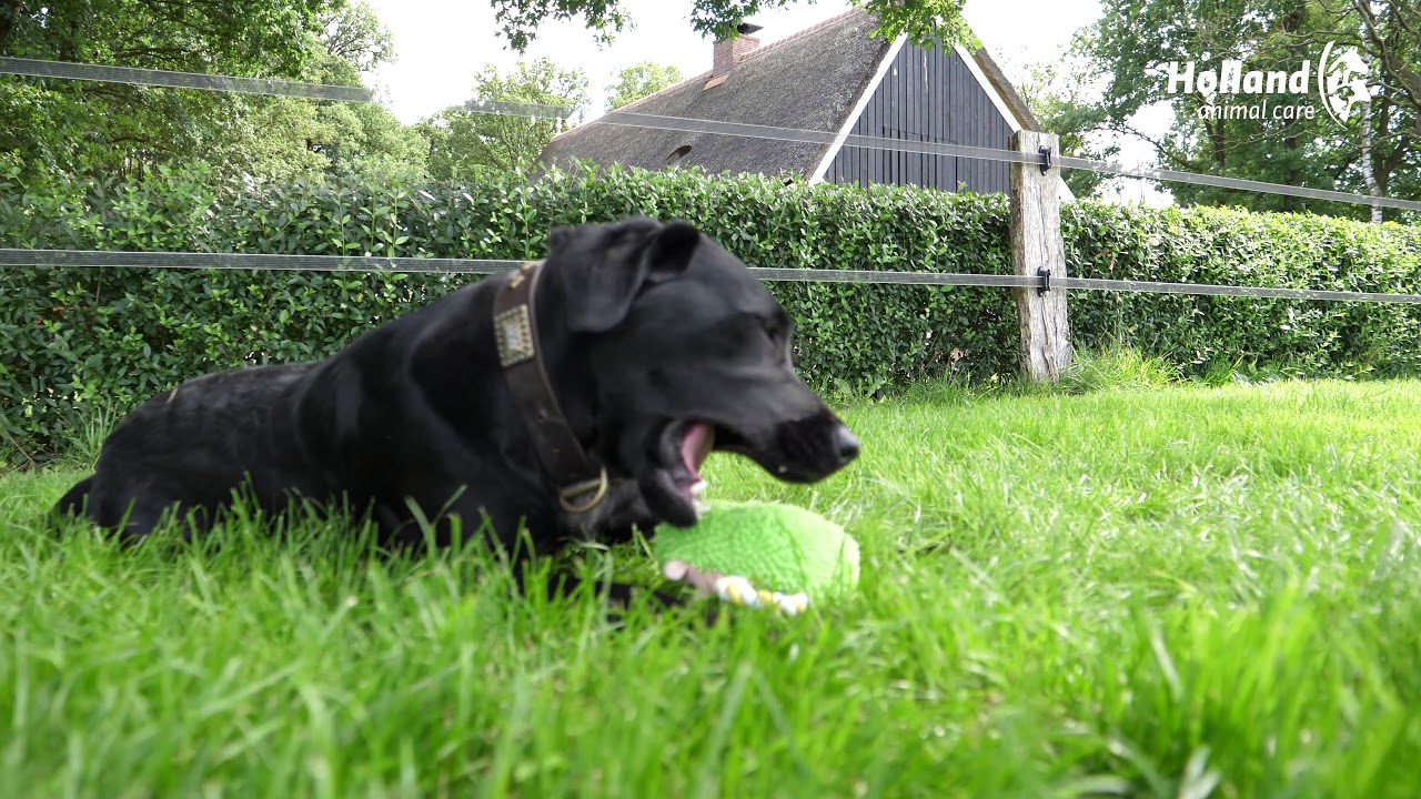 Fuzzle met 5 piepers Koe — afbeelding 2