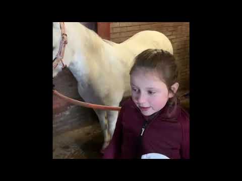 Lucky Horse Unicorn Shine Spray — afbeelding 2