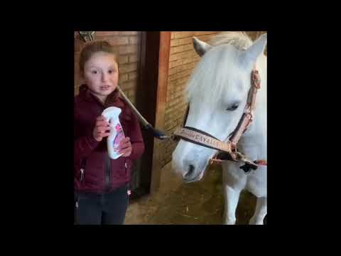Lucky Horse Unicorn Knuffel Spray — afbeelding 2