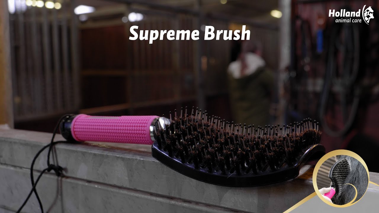 Excellent Horse Supreme Brush Goud — afbeelding 4