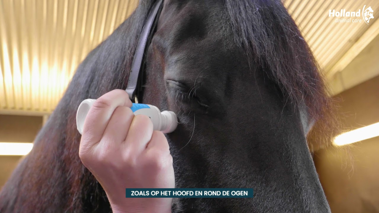 Excellent Horse Odour Spons-On 75 ml — afbeelding 2