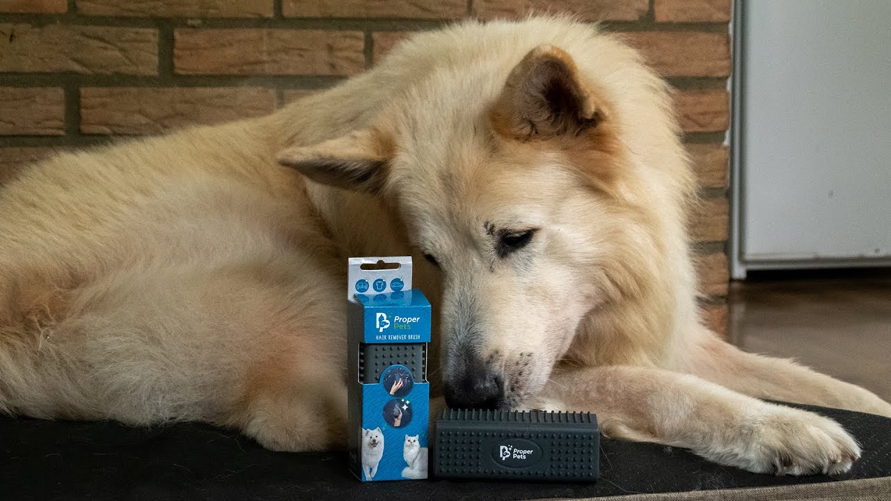 Proper Pets Haarverwijderaar — afbeelding 2