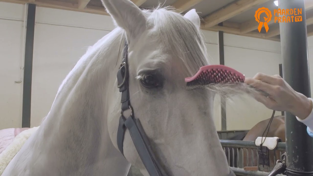 Paardenpraat Horse Supreme Borstel Roze — afbeelding 2