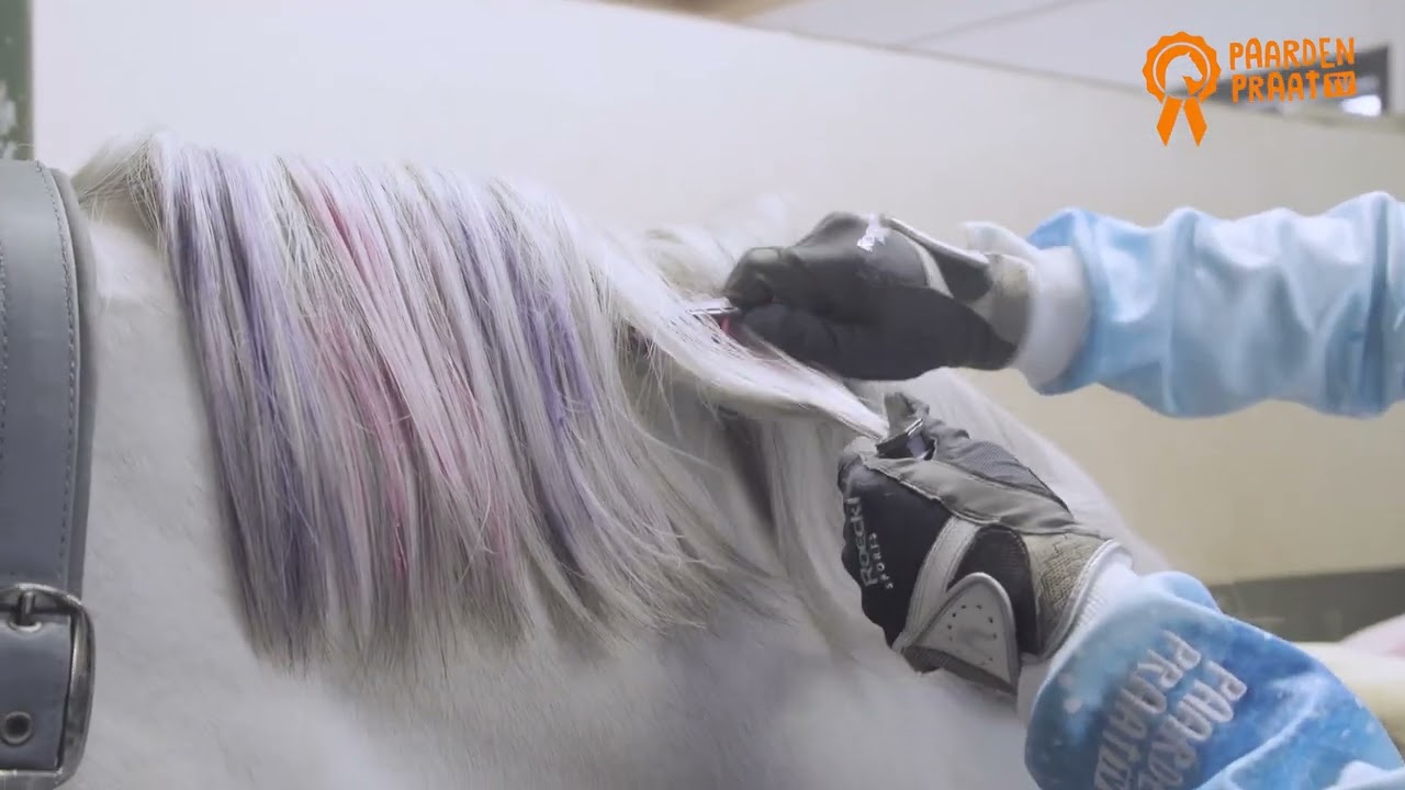 Paardenpraat Regenboog Kleurkrijt — afbeelding 2
