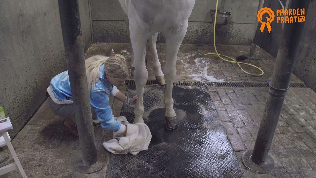 Paardenpraat TV Hoefglansolie — afbeelding 2