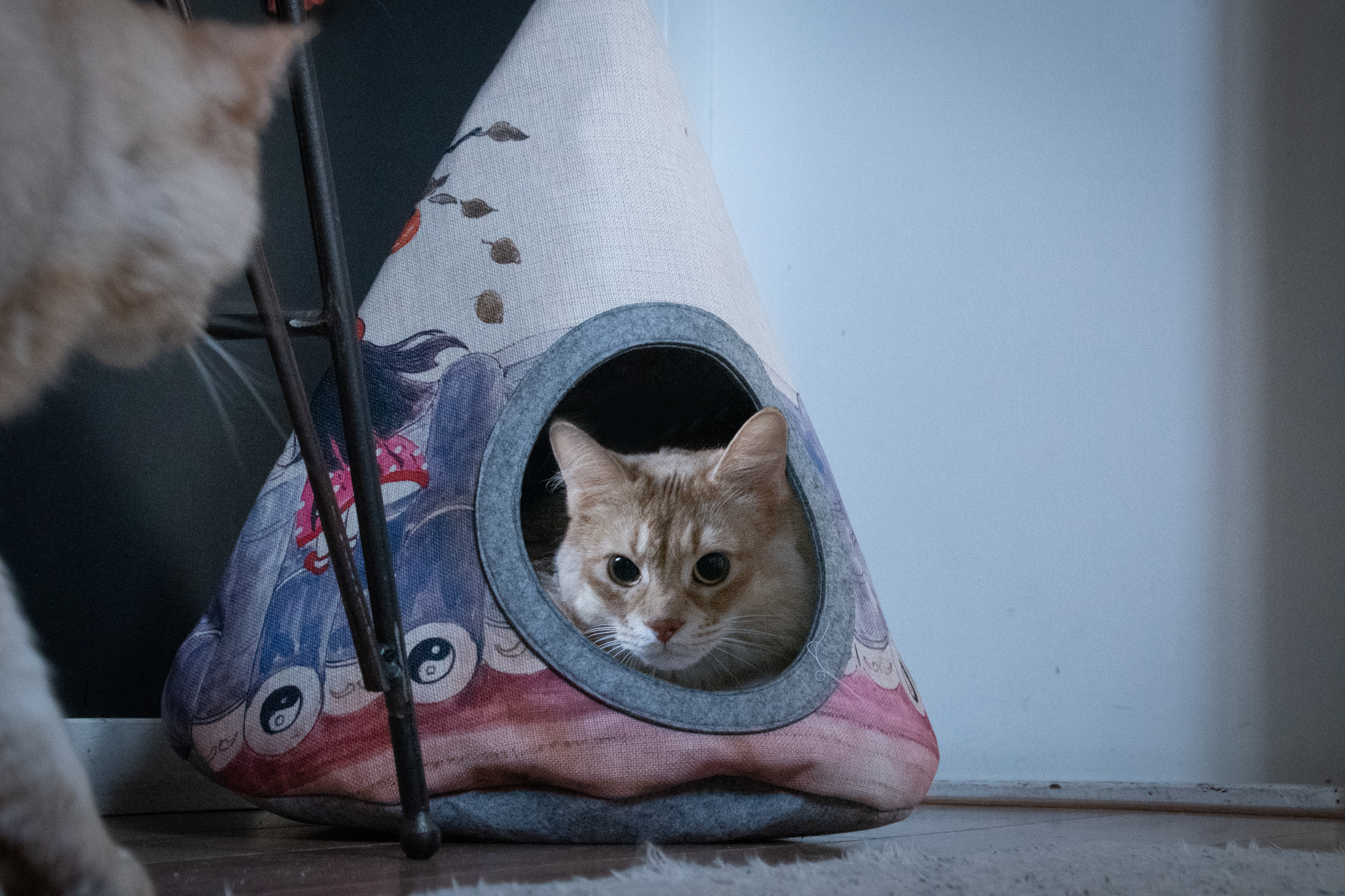 Takara Tipi Yin Yang — afbeelding 2