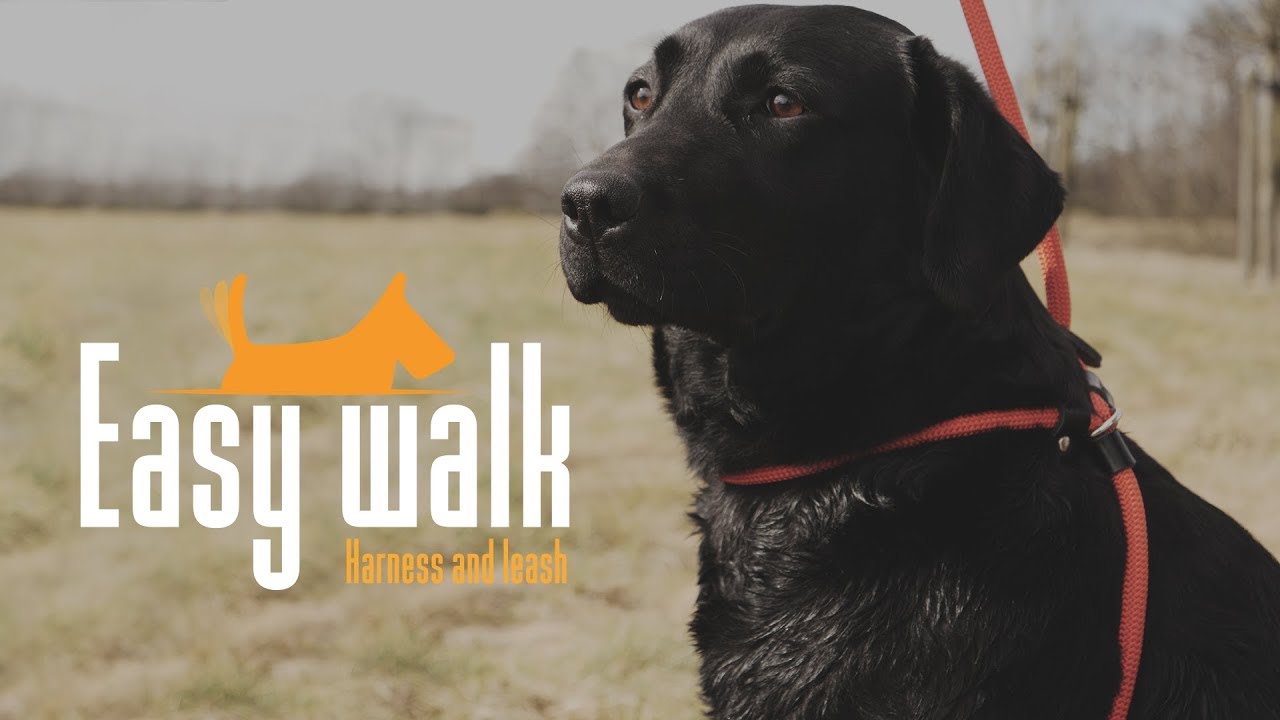 Easy Walk Handmodel Zwart — afbeelding 5