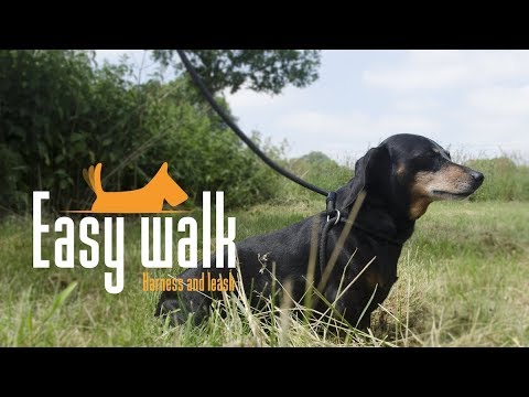 Easy Walk Schoudermodel Zwart - Mini — afbeelding 3