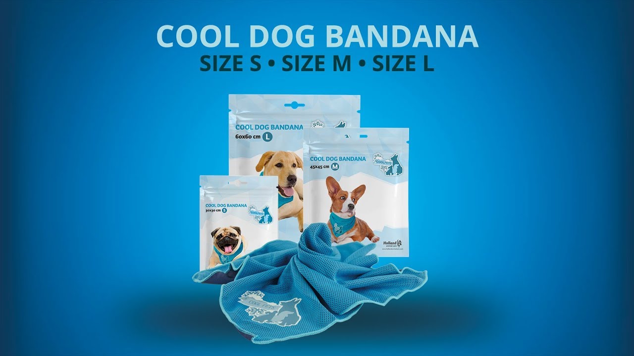 CoolPets Cooling Bandana S — afbeelding 6