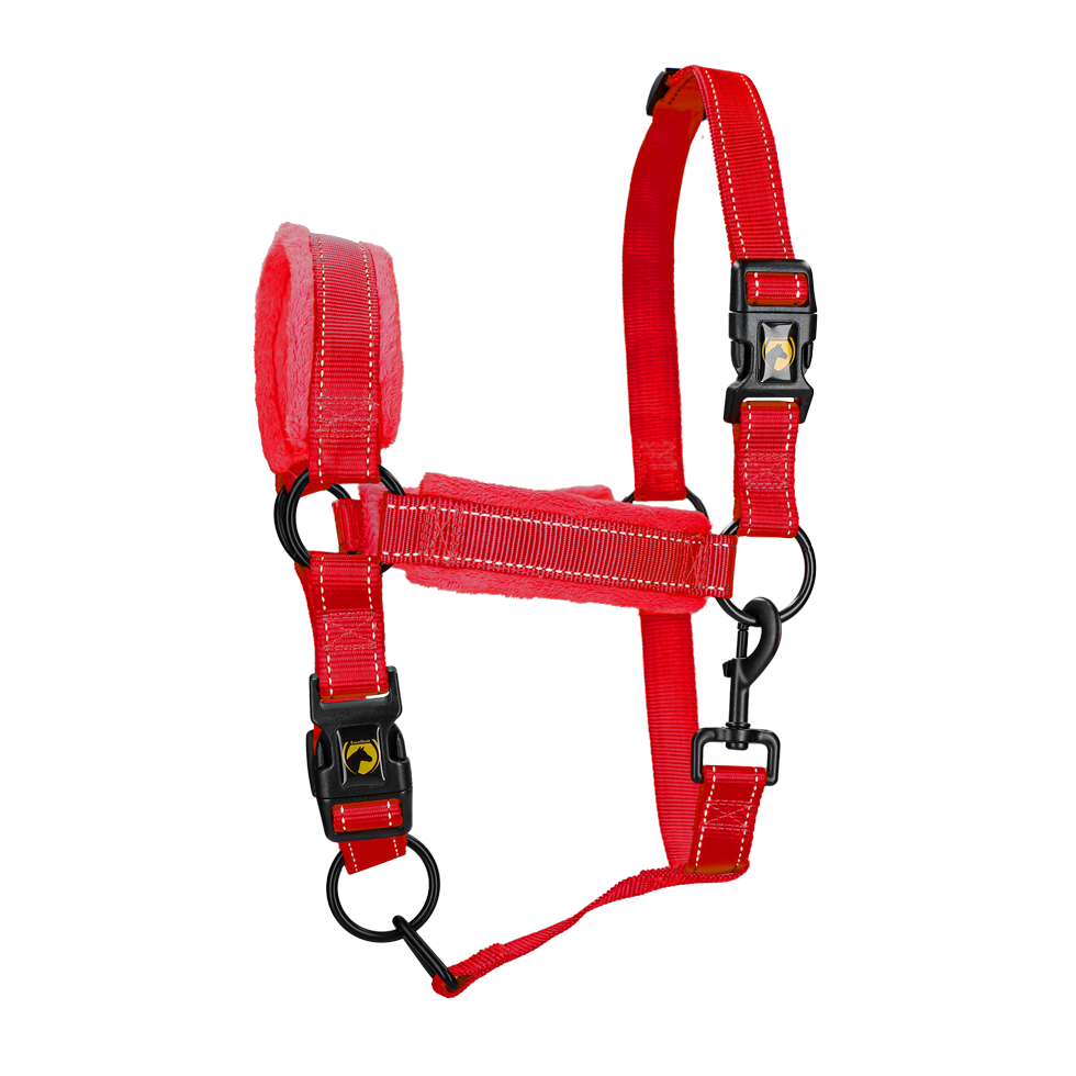 Excellent Superior Halster Rood XL