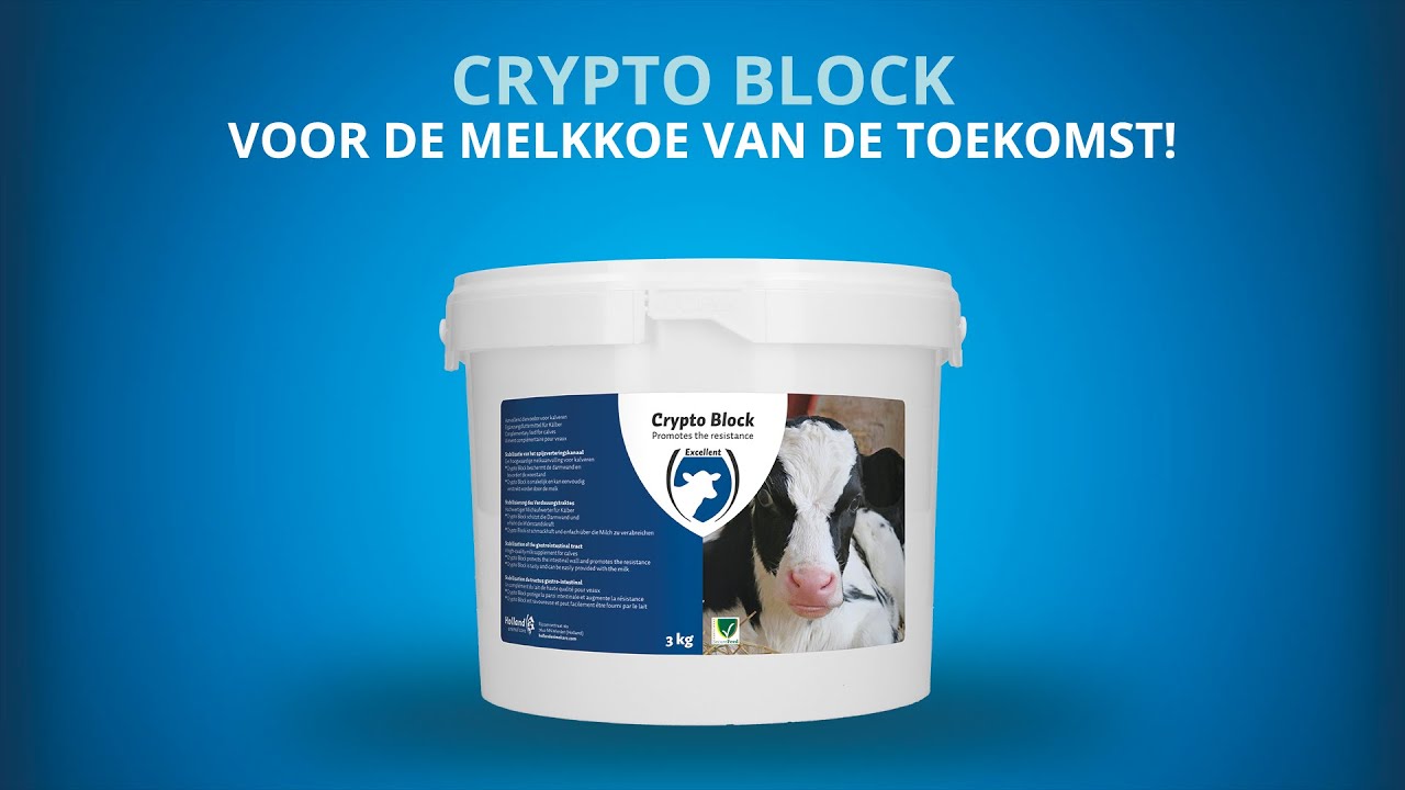 Excellent Crypto Block 2,4 kg — afbeelding 2