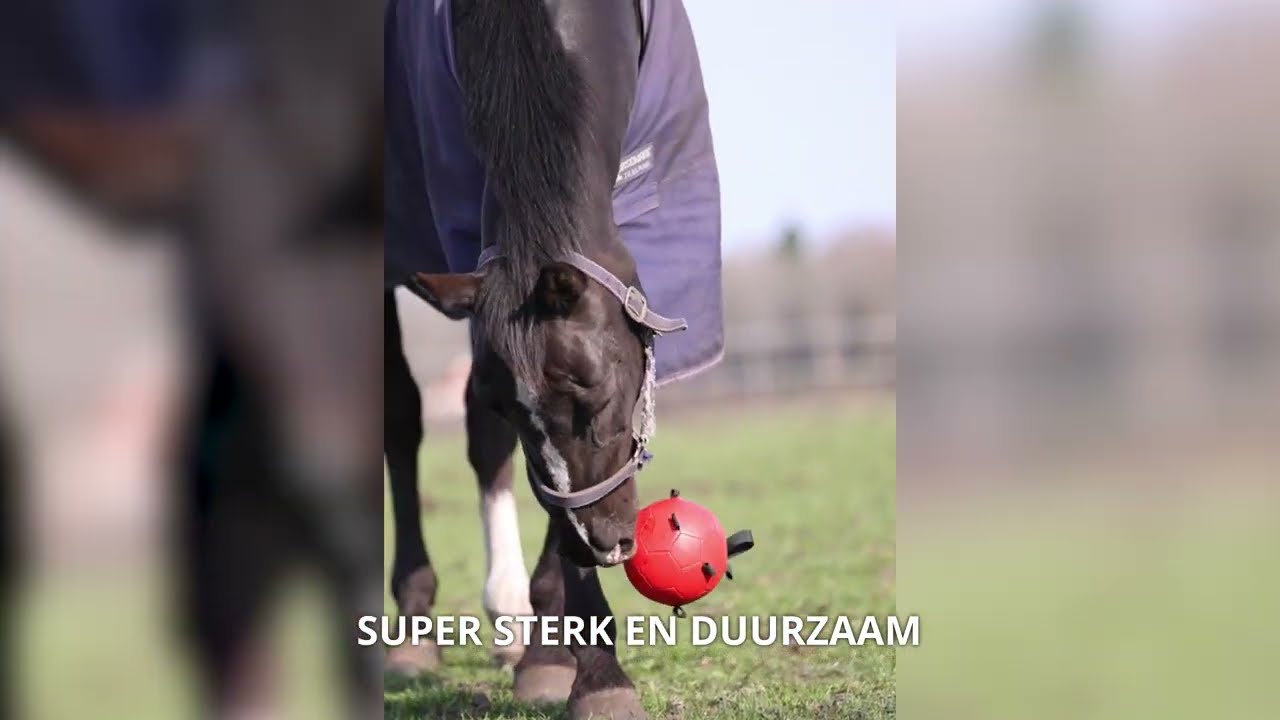 Excellent Horse Fun Play Ball Geel — afbeelding 3