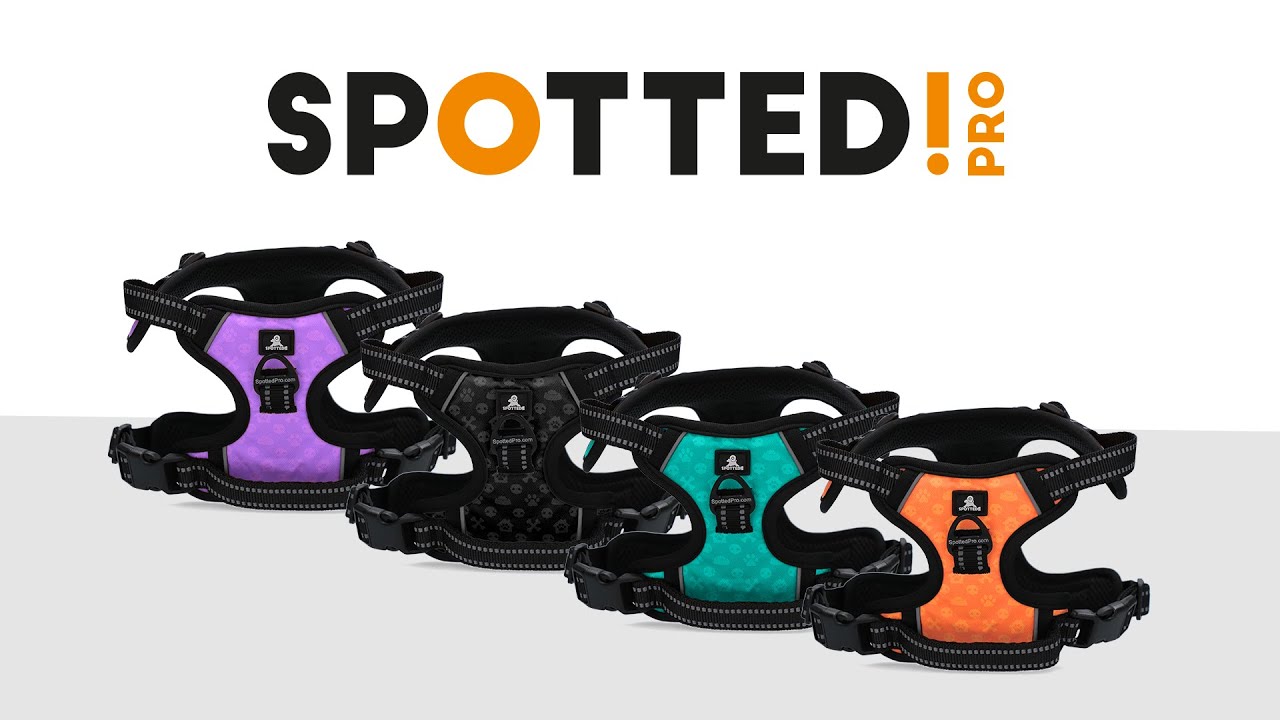 Spotted! Pro No Pull Harnas Paars S — afbeelding 2