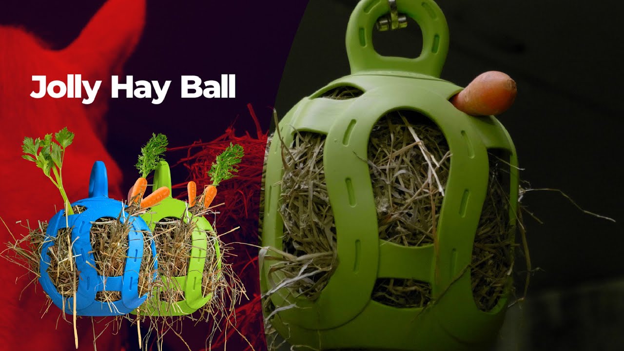 Jolly Hay Ball Groen — afbeelding 3