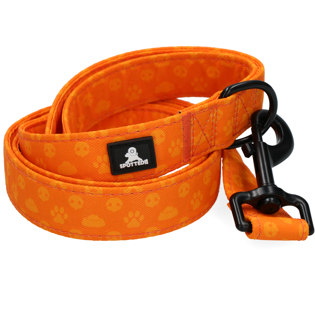 Spotted! Pro Perfect Leash 120 cm Oranje — afbeelding 4