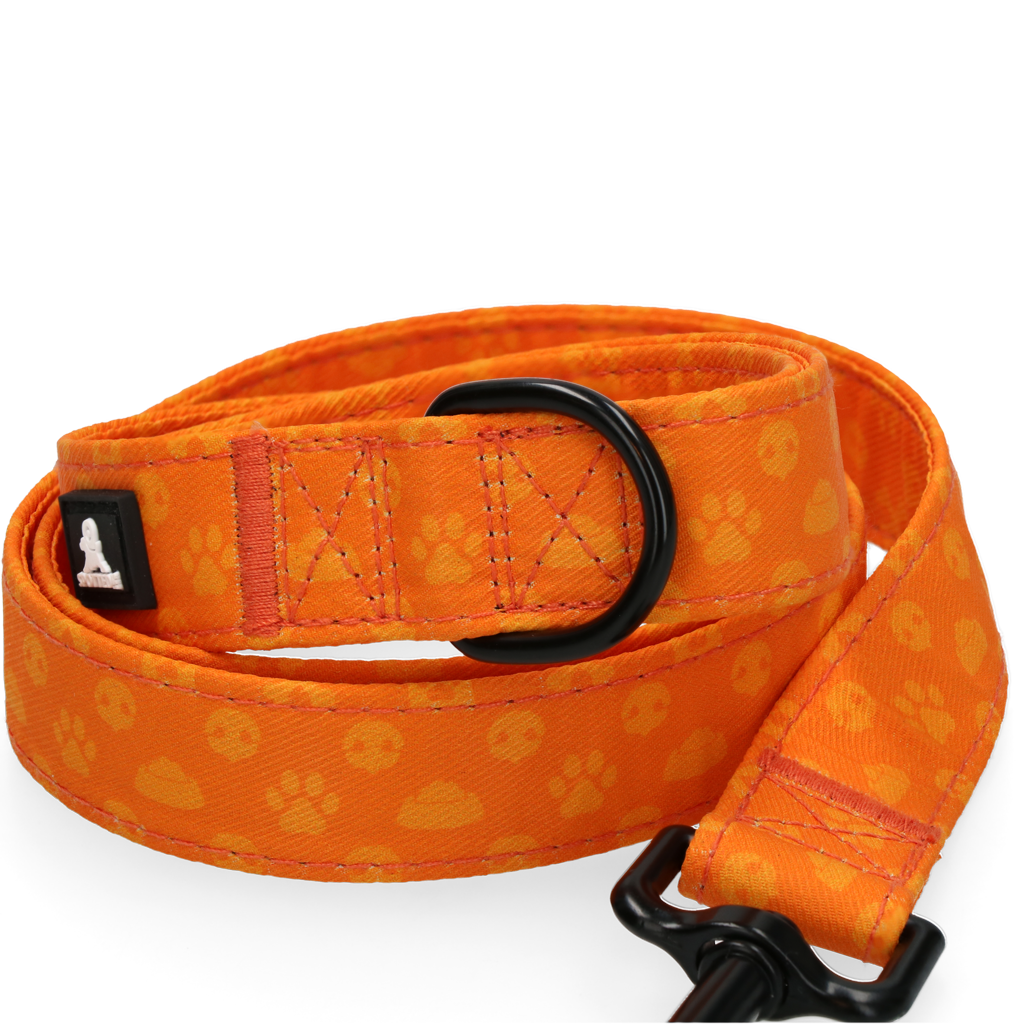 Spotted! Pro Perfect Leash 120 cm Oranje — afbeelding 3