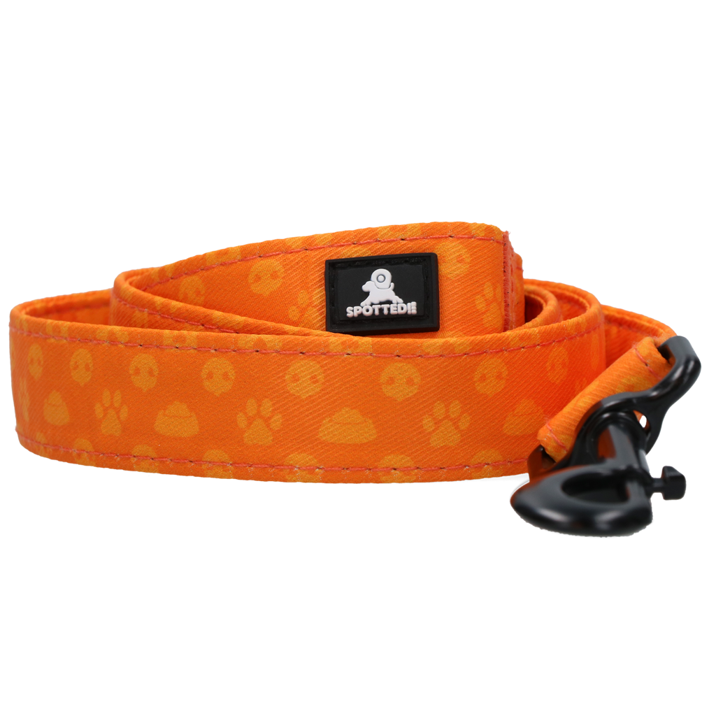 Spotted! Pro Perfect Leash 120 cm Oranje — afbeelding 2