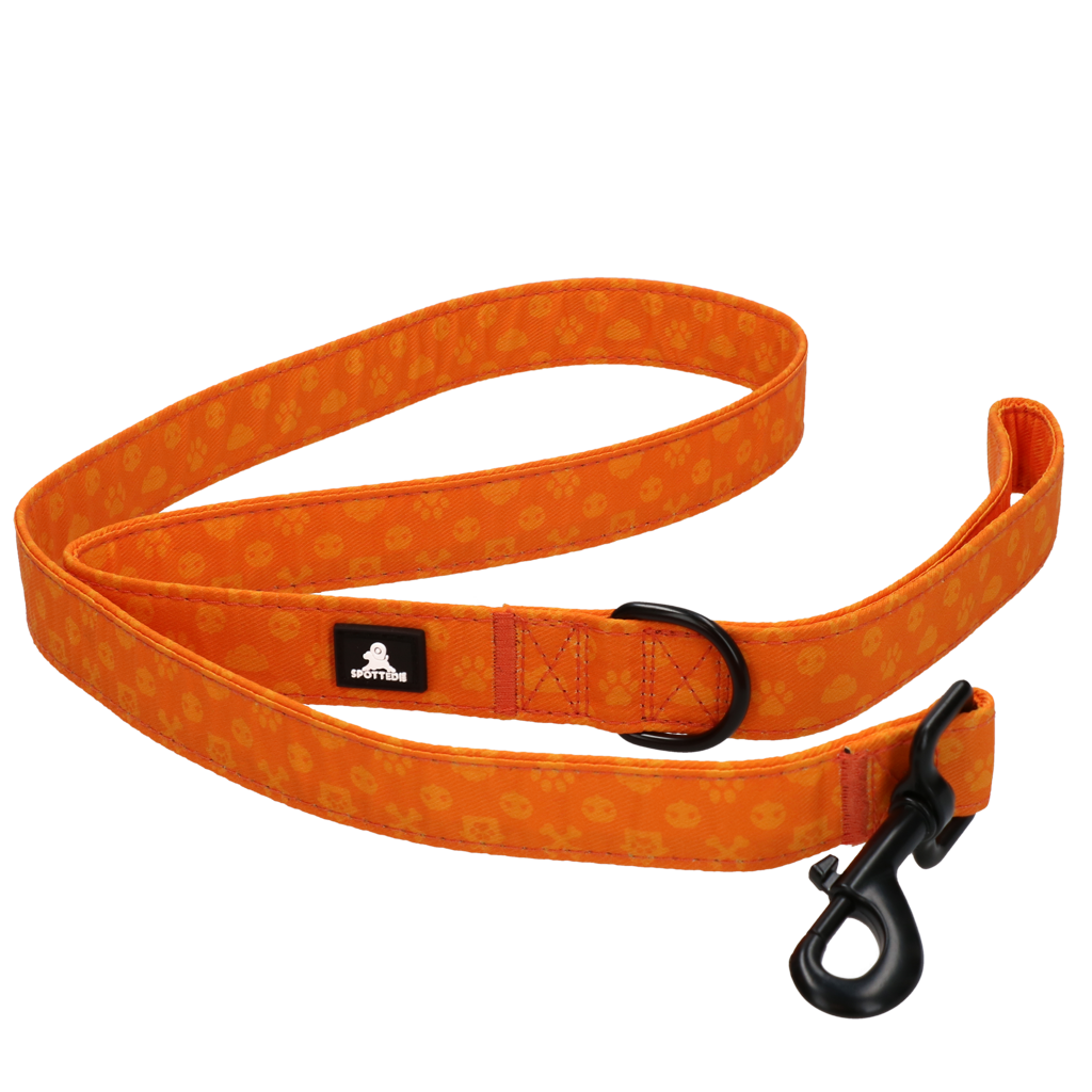 Spotted! Pro Perfect Leash 120 cm Oranje — afbeelding 5