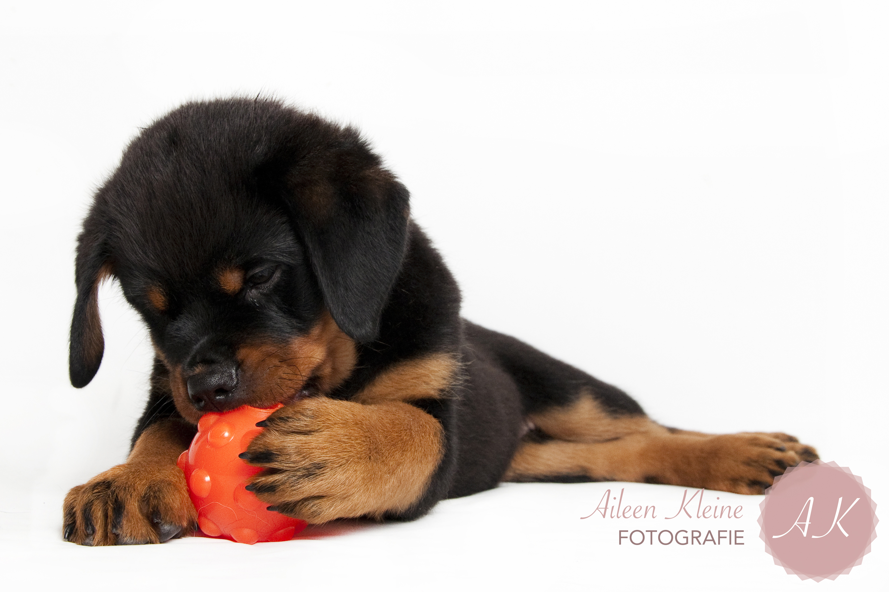 Jolly Jumper Oranje S (7,6 cm) — afbeelding 2