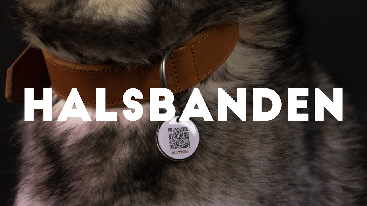 Spotted! Pro Leren Halsband Grijs 3 x 65 cm — afbeelding 2