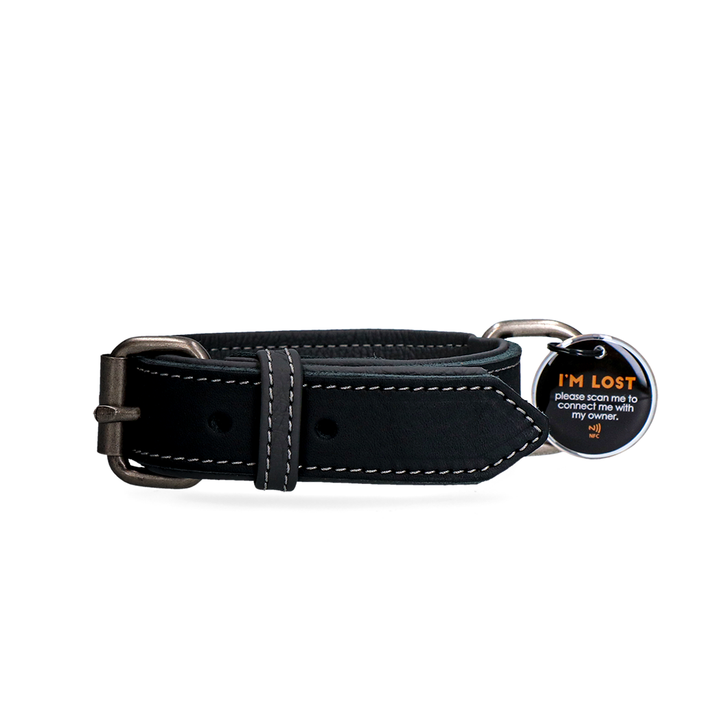 Spotted! Pro Leren Halsband Zwart 3 x 65 cm