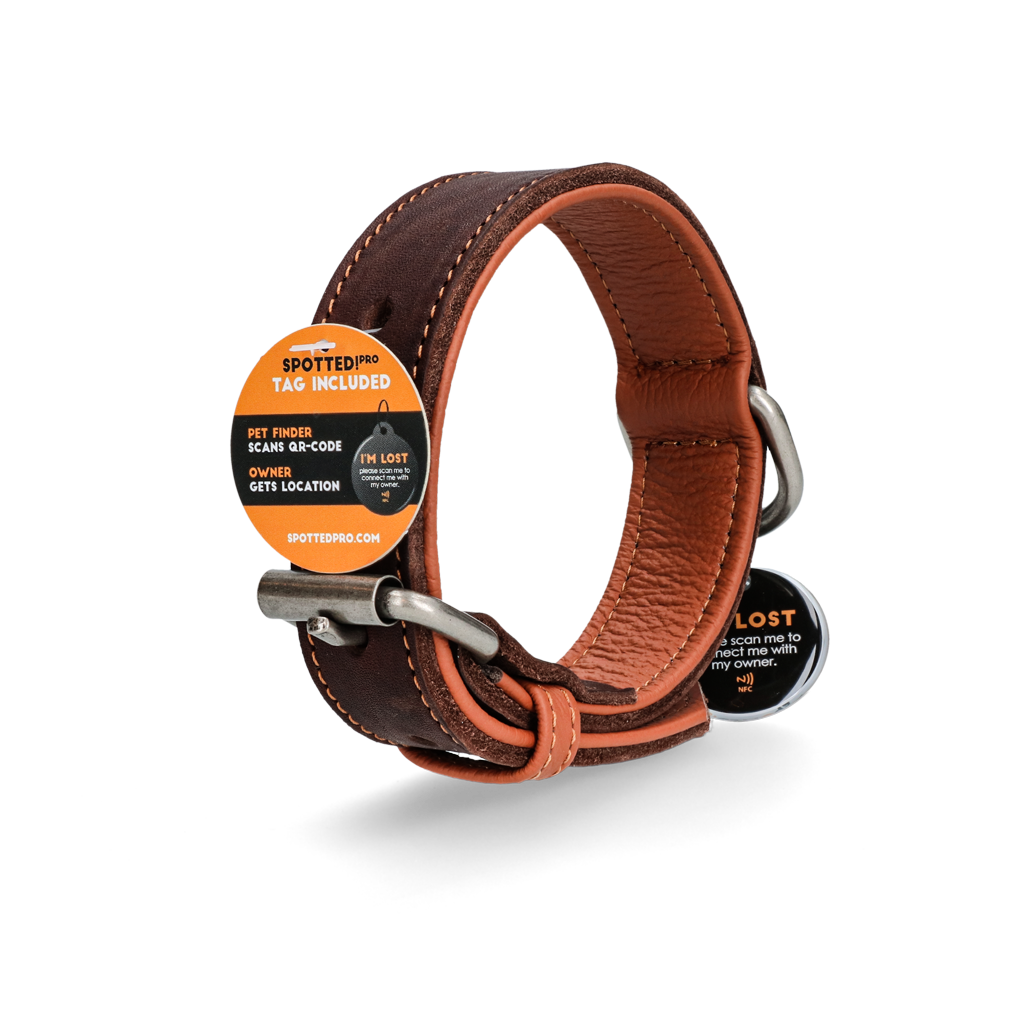 Spotted! Pro Leren Halsband Bruin 2,5 x 50 cm — afbeelding 4