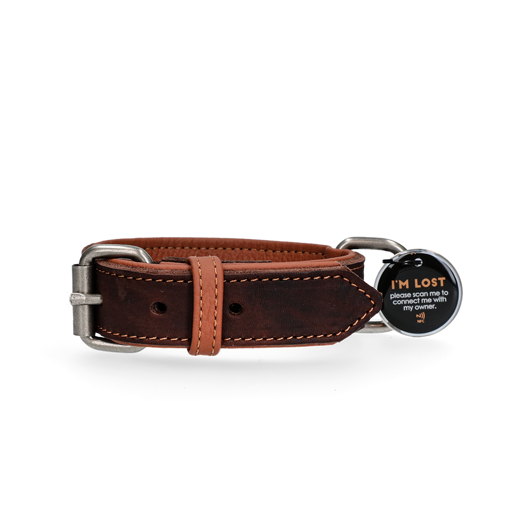 Spotted! Pro Leren Halsband Bruin 3 x 55 cm