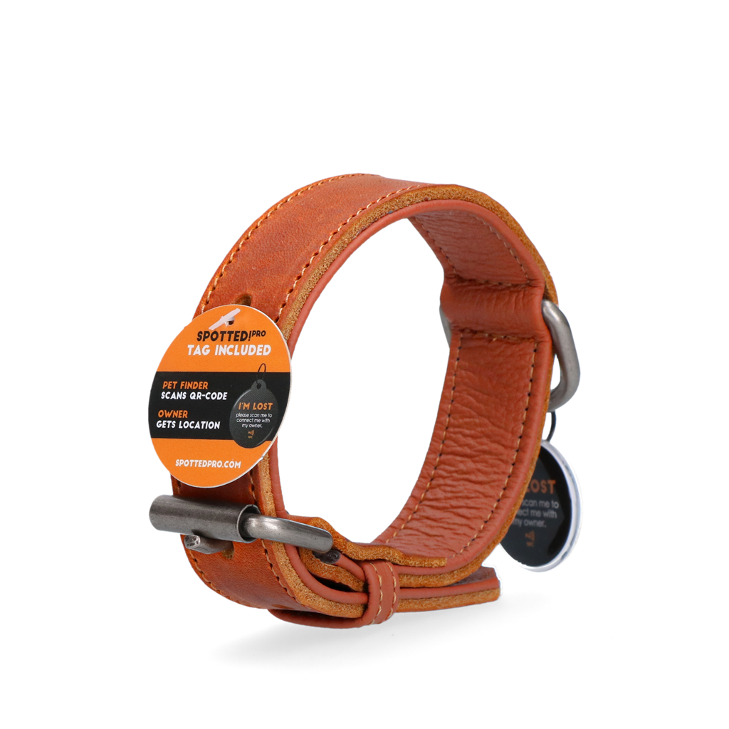 Spotted! Pro Leren Halsband Cognac 2,5 x 45 cm — afbeelding 3