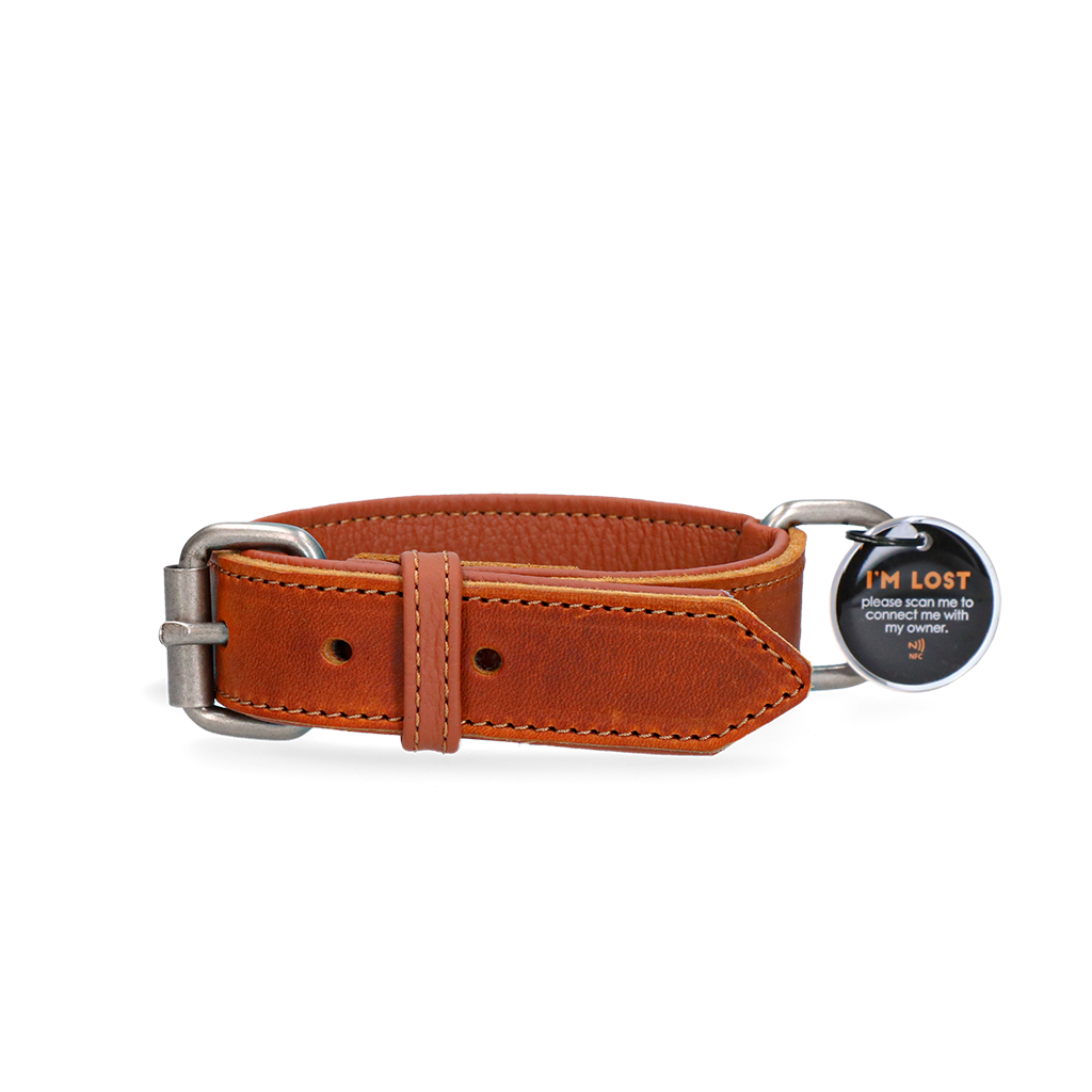 Spotted! Pro Leren Halsband Cognac 3 x 60 cm
