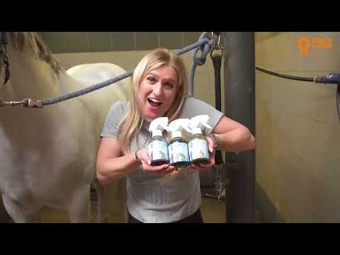 Package Deal Paardenpraat TV — afbeelding 2