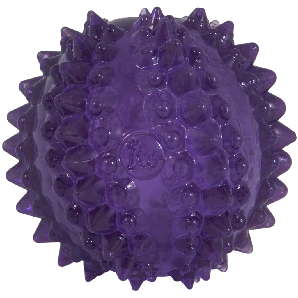 JW Puppy - Bristl-ee Cactus Ball — afbeelding 2