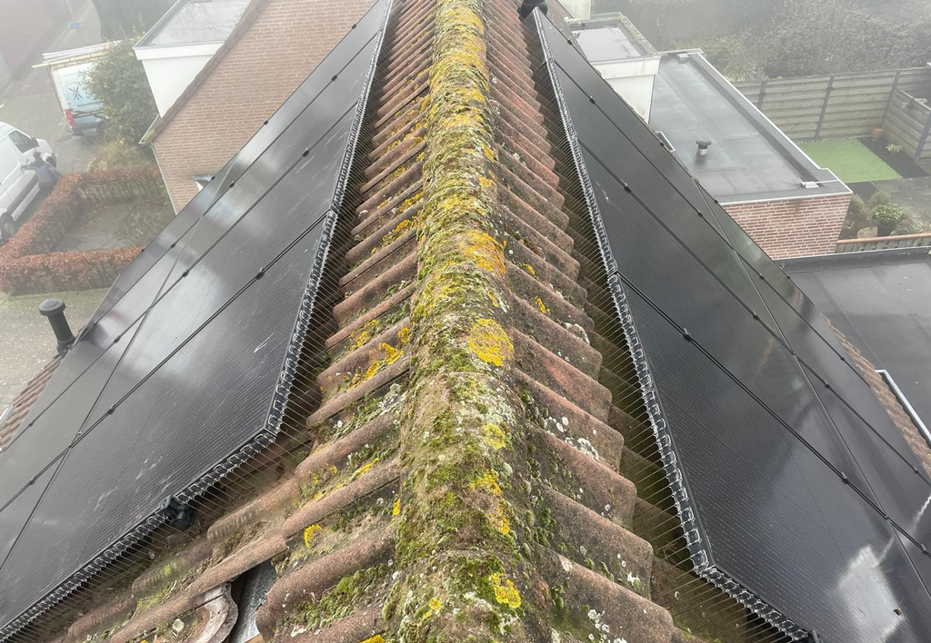 Vogelpinnen Zonnepanelen 50 cm Zwart — afbeelding 2